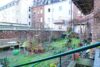CITYHOUSE: Stadtjuwel in bevorzugter Lage, historischer Altbau, Jugendstil, 8 WE, Balkone, Terrassen - Gemeinschaftsgarten
